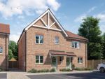 Thumbnail for sale in Weston Close, Gosport