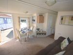 Thumbnail to rent in Dymchurch Road, New Romney