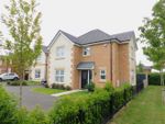 Thumbnail for sale in Boyle Grove, Spennymoor, County Durham
