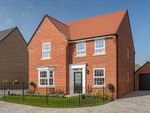 Thumbnail to rent in "Holden" at Maldon Road, Burnham-On-Crouch
