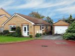 Thumbnail for sale in Earsdon Close, Norton, Stockton-On-Tees