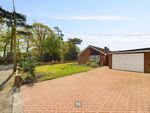 Thumbnail for sale in Holmesdale Road, Brundall, Norwich