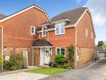 Thumbnail to rent in Lakers Meadow, Billingshurst
