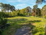 Thumbnail to rent in Golf Club Road, St George's Hill, Weybridge, Surrey