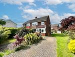 Thumbnail for sale in Hollywell Lane, Sunniside