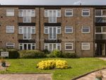 Thumbnail to rent in Friern Mount Drive, London