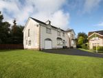 Thumbnail to rent in Carnglave Manor, Ballynahinch