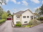 Thumbnail for sale in London Road, Addington, West Malling