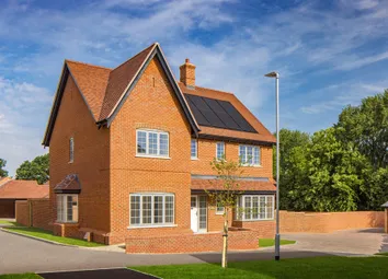 The Walnut | Canford Vista