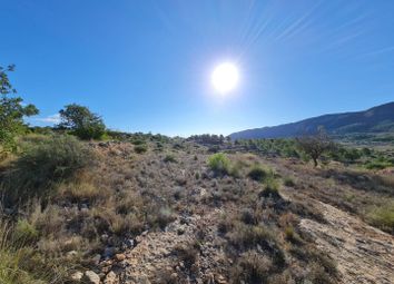 Thumbnail Land for sale in 03669 La Romana, Alicante, Alicante, Spain