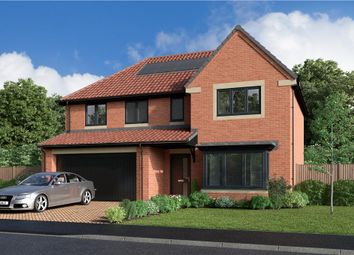 Thumbnail 5 bedroom detached house for sale in "The Beech" at The Ladle, Middlesbrough