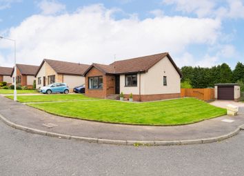 Thumbnail Bungalow for sale in Pennyacre Court, Springfield