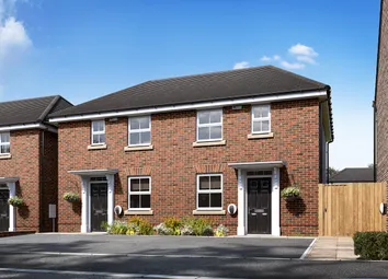 Curborough Fields Stroud Plot 114-115