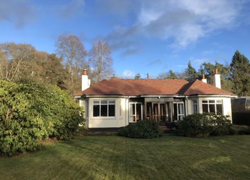 Thumbnail 3 bed bungalow for sale in Beechgrove, Parkhead Road, Perthshire