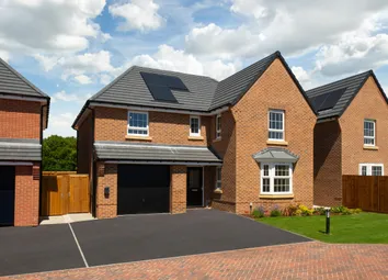 Thoresby Vale Exeter P3