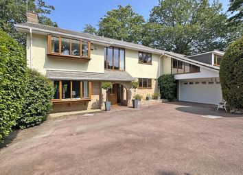 Thumbnail Detached house for sale in Rashleigh Vale, Truro