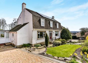 Thumbnail 4 bed detached house for sale in Dobcroft Road, Sheffield