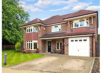 Thumbnail Detached house for sale in The Paddocks, Dunstable