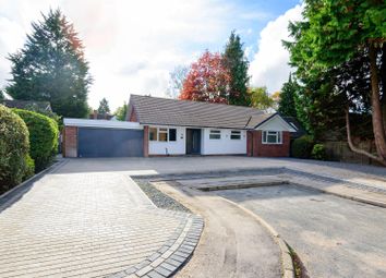 Thumbnail 3 bed bungalow for sale in Beauchamp Road, Solihull