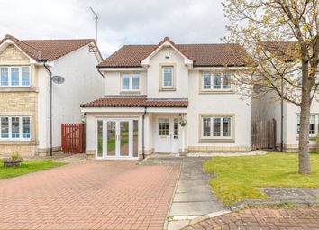 Thumbnail Detached house for sale in Glentye Drive, Tullibody