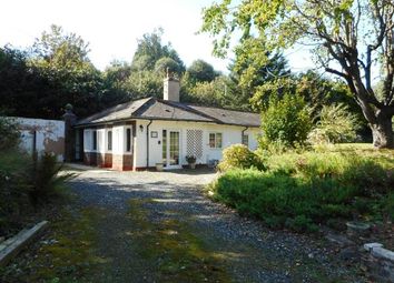 Property For Sale In Newton St Cyres Buy Properties In Newton