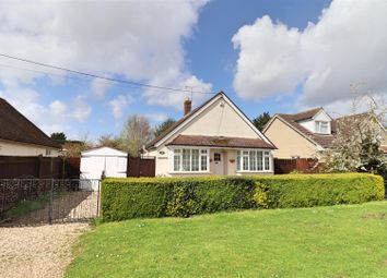 Thumbnail Detached house for sale in London Road, Great Notley, Braintree