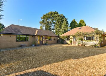 Thumbnail 6 bed detached bungalow for sale in Berry Lane, Wootton Village, Northampton