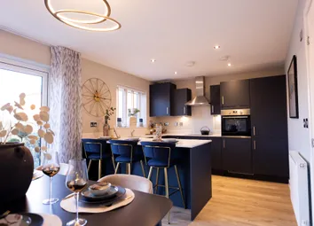Showhome Photography