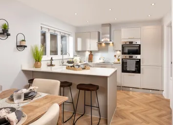 Showhome Photography