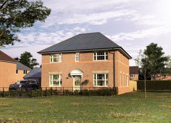 Thumbnail Detached house for sale in "The Dalgety" at Nottingham Road, Ashby-De-La-Zouch