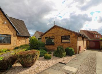 Thumbnail 3 bed bungalow to rent in Lochaber Drive, Stenhousemuir