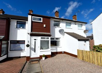 Thumbnail 3 bed terraced house for sale in Glendhu Grove, Belmont, Belfast