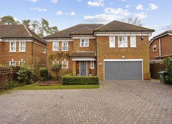 Thumbnail 5 bed detached house to rent in Rise Road, Ascot, Berkshire