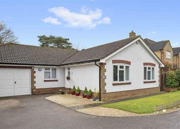 Thumbnail Bungalow for sale in Quail Close, Horsham