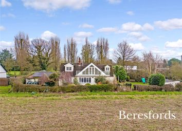 Thumbnail Bungalow for sale in Bartholomew Green, Felsted