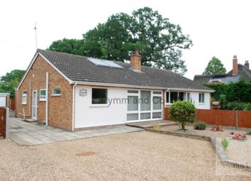 Thumbnail 3 bed bungalow to rent in Strumpshaw Road, Brundall