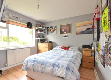 6 Bedroom  for rent