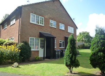 1 Bedroom Semi-detached house for rent