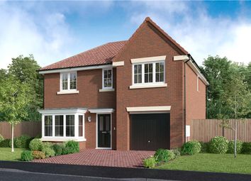 Thumbnail 4 bedroom detached house for sale in "The Maplewood" at Off Trunk Road (A1085), Middlesbrough, Cleveland