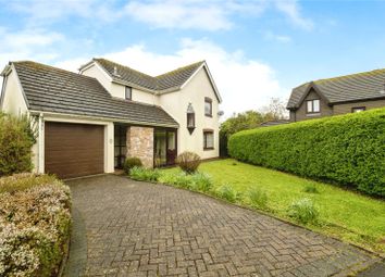 Newton Abbot - Detached house for sale              ...