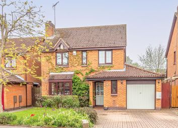 Thumbnail Detached house for sale in Cooks Meadow, Edlesborough, Dunstable
