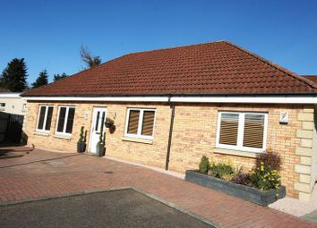 4 Bedroom Detached bungalow for sale