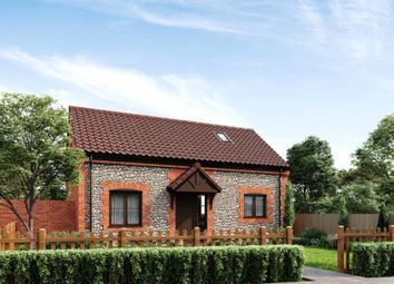 Thumbnail 3 bed detached house for sale in St Marys View, North Walsham Road, Happisburgh, Norfolk