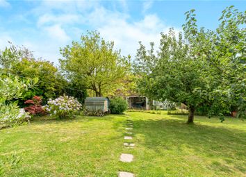 Property listing in Hailsham, East Sussex