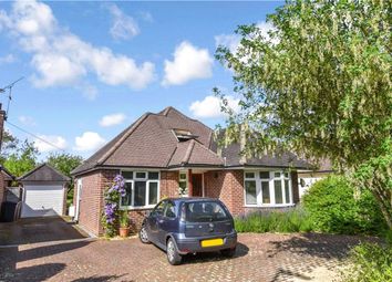 Thumbnail Detached house for sale in Elm Tree Gardens, Romsey