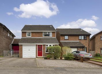 Thumbnail Detached house for sale in Lovett Close, Old Catton, Norwich