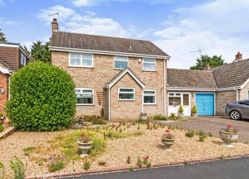 Thumbnail 4 bed link-detached house for sale in Pilgrims Way, Starston, Harleston