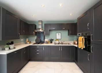 Showhome Photography