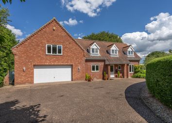 Thumbnail 3 bed detached house for sale in Low Road, Thurlton, Norwich