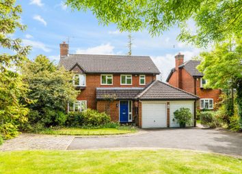 Thumbnail 4 bed detached house for sale in Chaucer Close, Banstead